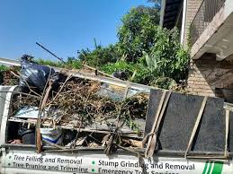 Best Same-Day Junk Removal Services  in Vega, TX